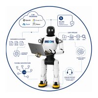 Client LLM Integration