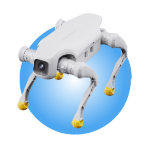 Quadruped